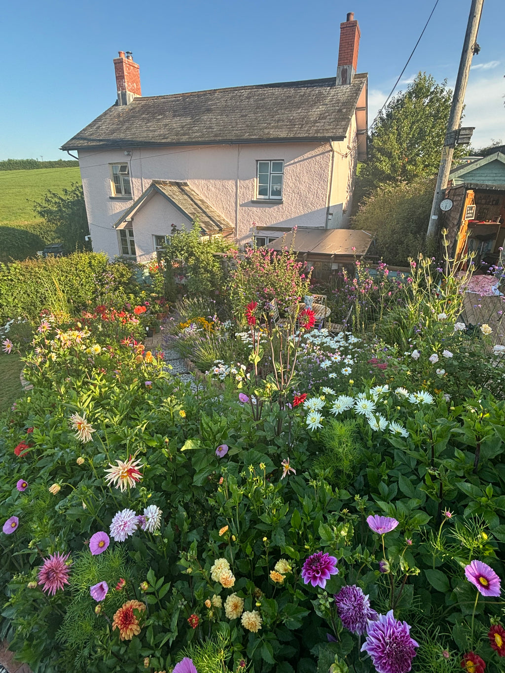 Under a Devon Sky, A Seasonal Diary of Blooms, Abundance and Vintage Charm