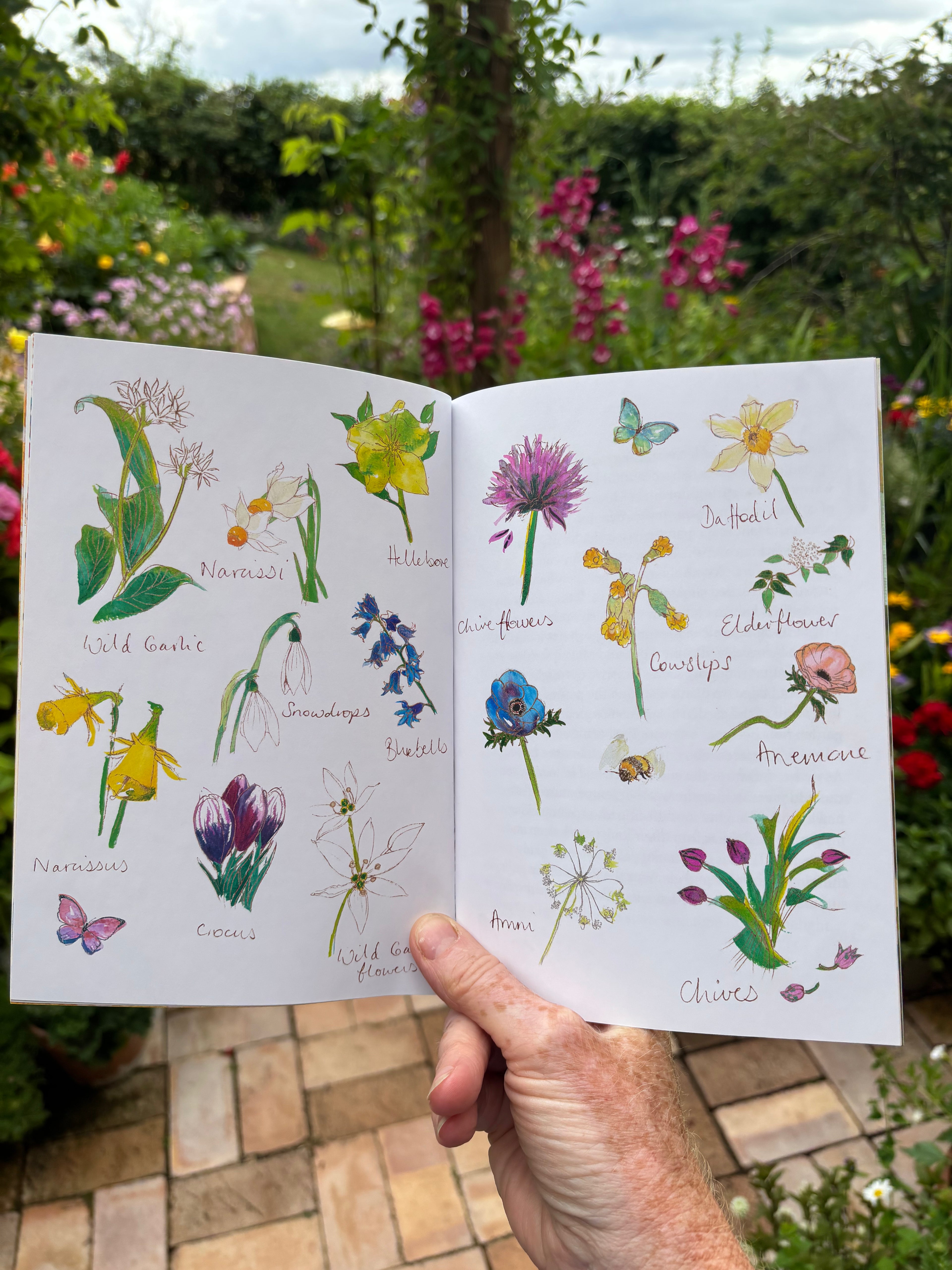 Under a Devon Sky, A Seasonal Diary of Blooms, Abundance and Vintage Charm