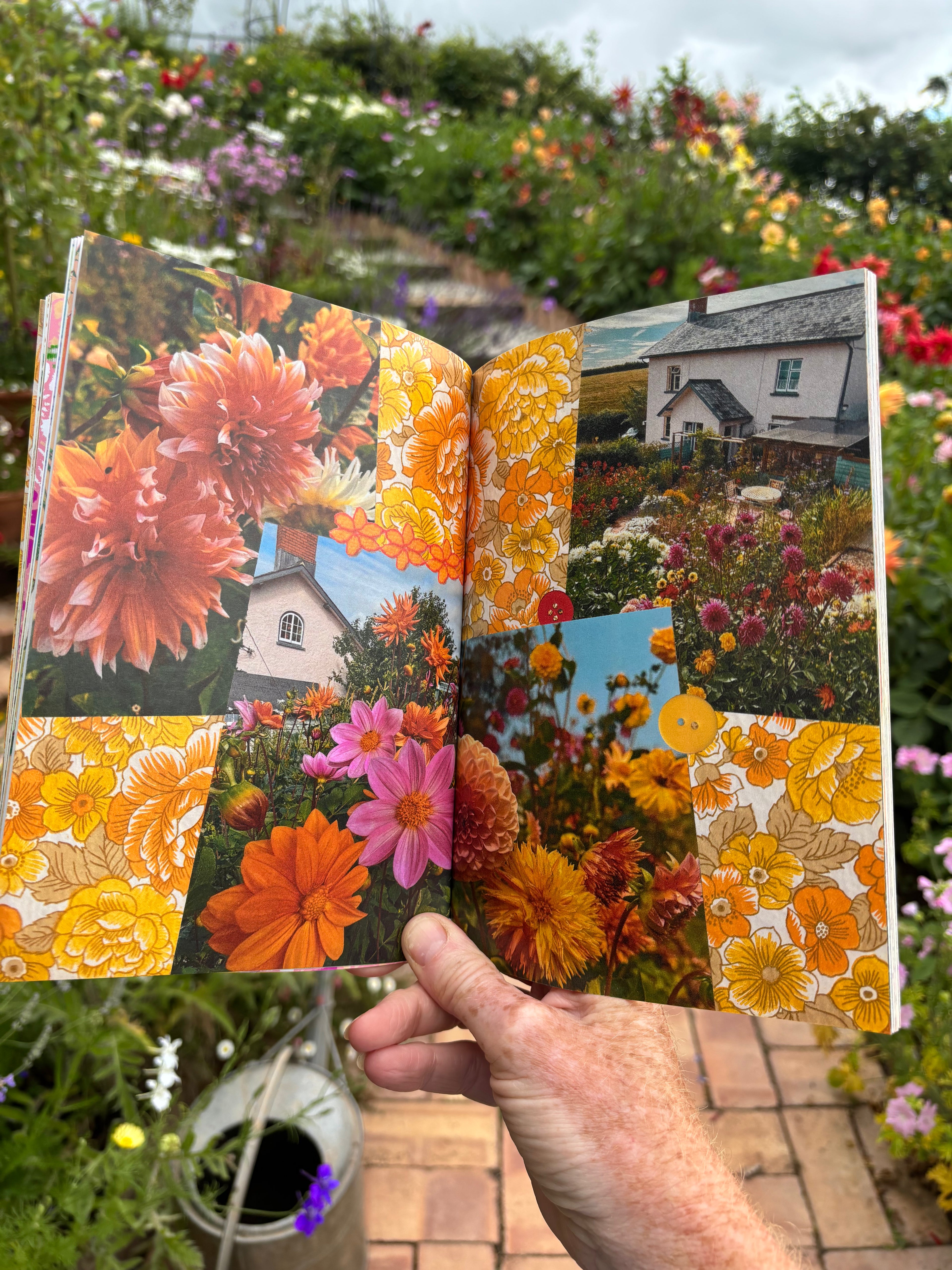 Under a Devon Sky, A Seasonal Diary of Blooms, Abundance and Vintage Charm